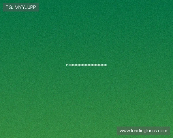 PT电子试玩体验指南，详细介绍操作流程和常见问题解决方案